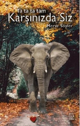 Ta Ta Ta Tam Karşınızda Siz – Merve Söyler – Luna Yayınları kitap kapağı