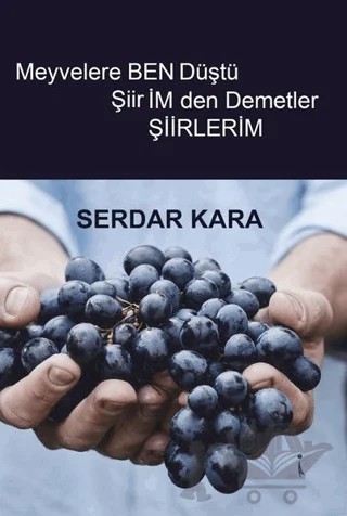 Meyvelere Ben Düştü Şiirimden Demetler – Serdar Kara – İkinci Adam Yayınları kitap kapağı