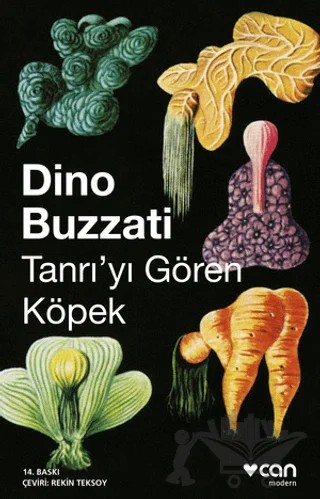 Tanrıyı Gören Köpek – Dino Buzzati – Can Yayınları kitap kapağı