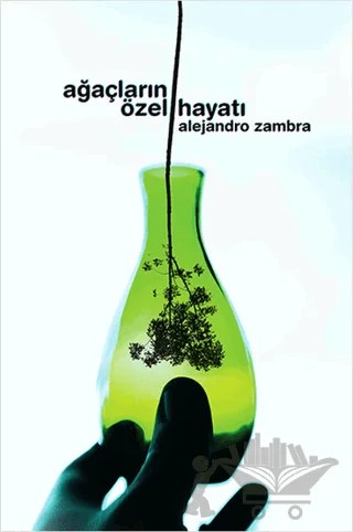 Ağaçların Özel Hayatı – Alejandro Zambra – Notos Kitap kitap kapağı
