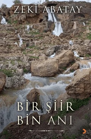 Bir Şiir Bin Anı – Zeki Abatay – Cinius Yayınları kitap kapağı