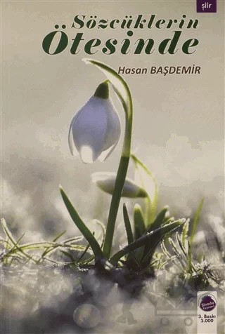 Sözcüklerin Ötesinde – Hasan Başdemir – Sinada Kitap kitap kapağı