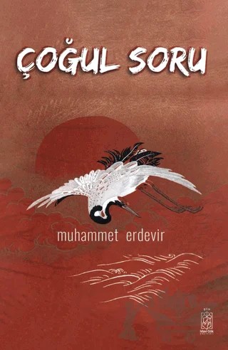 Çoğul Soru – Muhammet Erdevir – Mavi Gök Yayınları kitap kapağı