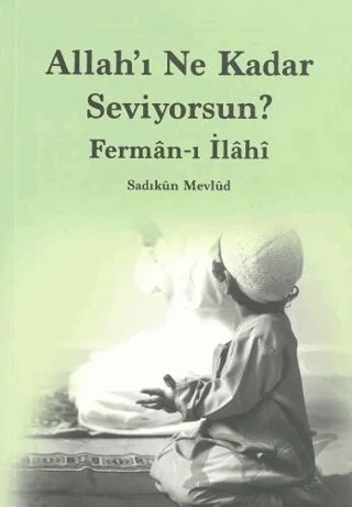 Allah'ı Ne Kadar Seviyorsun? – Sadıkun Mevlud – Düşünce Kitabevi Yayınları kitap kapağı