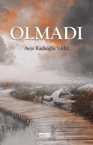 Olmadı – Ayşe Kadıoğlu Yıldız – Mat Kitap kitap kapağı