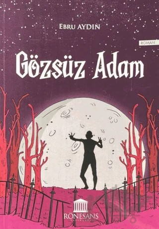 Gözsüz Adam – Ebru Aydın – Rönesans Yayınları kitap kapağı