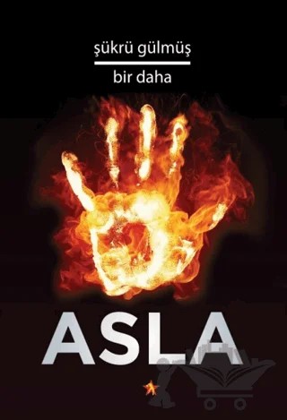 Bir Daha Asla – Şükrü Gülmüş – Peri Yayınları kitap kapağı