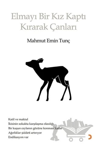 Elmayı Bir Kız Kaptı Kırarak Çanları – Mahmut Emin Tunç – Cinius Yayınları kitap kapağı