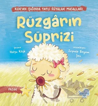 Rüzgarın Sürprizi – Hülya Köşk – Puset Kitap kitap kapağı