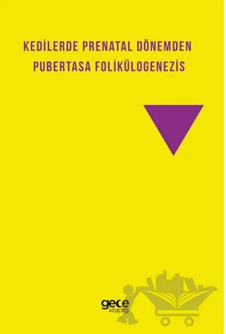Kedilerde Prenatal Dönemden Pubertasa Folikülogenezis – Ömer Korkmaz, Öykü Özge Önder – Gece Kitaplığı kitap kapağı