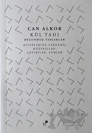Kül Tadı – Can Alkor – Norgunk Yayıncılık kitap kapağı