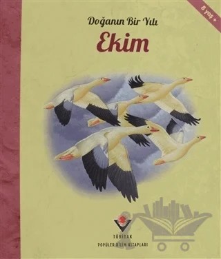 Doğanın Bir Yılı - Ekim – Ruth Symons – TÜBİTAK Yayınları kitap kapağı