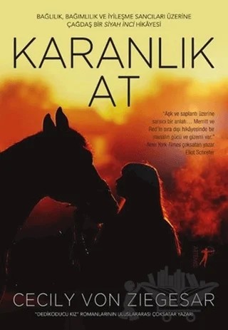 Karanlık At – Cecily Von Ziegesar – Artemis Yayınları kitap kapağı