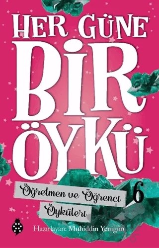 Öğretmen ve Öğrenci Öyküleri - Her Güne Bir Öykü 6 – Muhiddin Yenigün – Uğurböceği Yayınları kitap kapağı