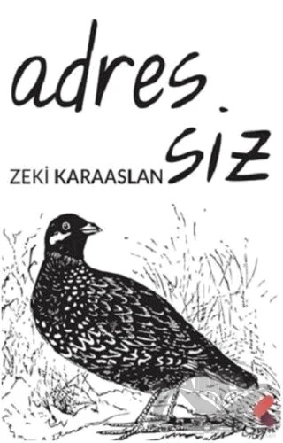 Adressiz – Zeki Karaaslan – Klaros Yayınları kitap kapağı