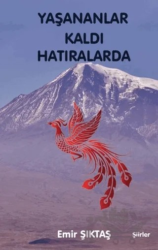 Yaşananlar Kaldı Hatıralarda – Emir Şıktaş – Northern Lights Yayınları kitap kapağı