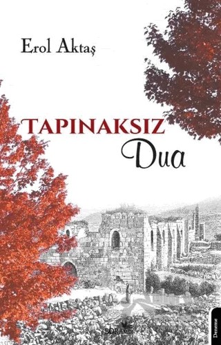 Tapınaksız Dua – Erol Aktaş – Boramir Yayınları kitap kapağı