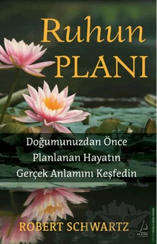 Ruhun Planı – Robert Schwartzman – Destek Yayınları kitap kapağı