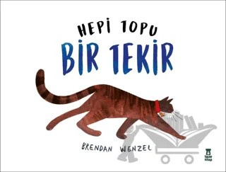Hepi Topu Bir Tekir – Brendan Wenzel – Taze Kitap kitap kapağı