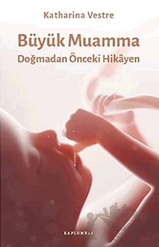 Büyük Muamma – Katharina Vestre – Kaplumbaa Kitap kitap kapağı