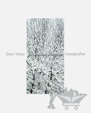 Yaşamdan Alıntılar – Özer Yelçe – Masa Yayınevi kitap kapağı
