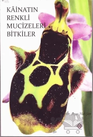 Kainatın Renkli Mucizeleri Bitkiler – Ayşe Nur Şen – Kömen Yayınları kitap kapağı