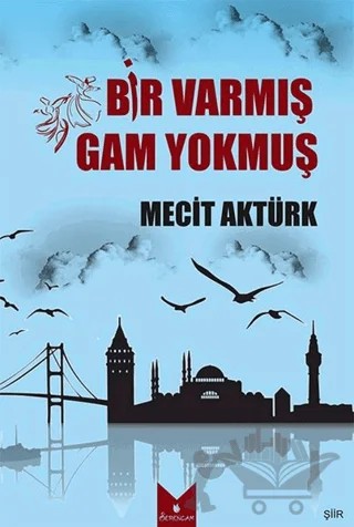 Bir Varmış Gam Yokmuş – Mecit Aktürk – Serencam Yayınevi kitap kapağı