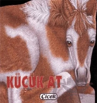 Küçük At – Kolektif – Çiçek Yayıncılık kitap kapağı