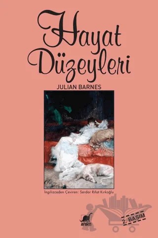 Hayat Düzeyleri – Julian Barnes – Ayrıntı Yayınları kitap kapağı