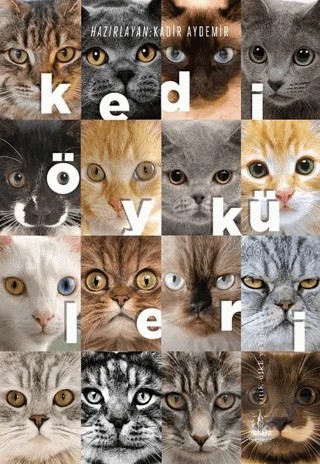 Kedi Öyküleri – Kadir Aydemir – Yitik Ülke Yayınları kitap kapağı