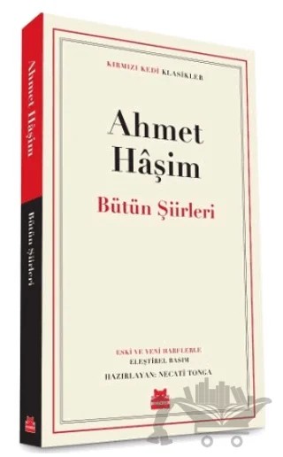 Bize Göre ve Bir Seyahatin Notları – Ahmet Hâşim – Kırmızı Kedi Yayınevi kitap kapağı