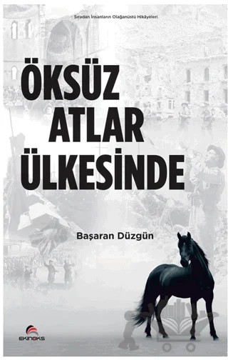 Öksüz Atlar Ülkesinde – Başaran Düzgün – Ekinoks Yayın Grubu kitap kapağı