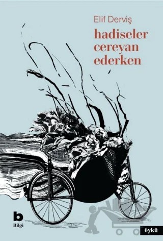 Hadiseler Cereyan Ederken – Elif Derviş – Bilgi Yayınevi kitap kapağı