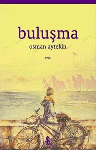 Buluşma – Osman Aytekin – Roza Yayınevi kitap kapağı
