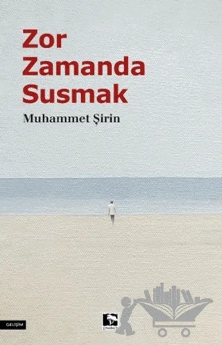 Zor Zamanda Susmak – Muhammet Şirin – Çınaraltı Yayınları kitap kapağı