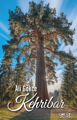 Kehribar – Ali Gökçe – Gülnar Yayınları kitap kapağı