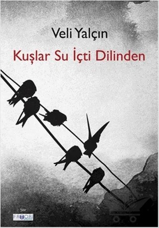 Kuşlar Su İçti Dilinden – Veli Yalçın – Favori Yayınları kitap kapağı