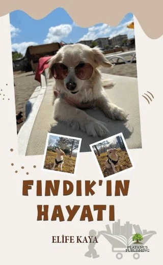 Fındık’ın Hayatı – Elife Kaya – Platanus Publishing kitap kapağı