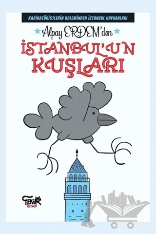 İstanbul'un Kuşları – Alpay Erdem – Tekir Kitap kitap kapağı