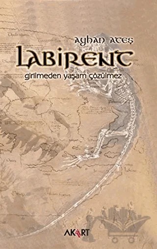 Labirent – Ayhan Ateş – Akart Yayınları kitap kapağı