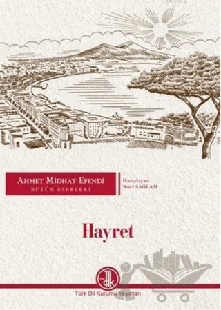 Ahmet Midhat Efendi Bütün Eserleri - Hayret – Nuri Sağlam – Türk Dil Kurumu Yayınları kitap kapağı