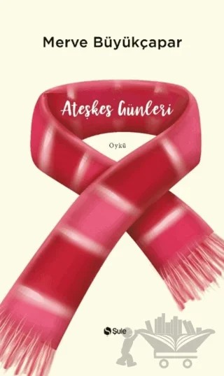 Ateşkes Günleri – Merve Büyükçapar – Şule Yayınları kitap kapağı