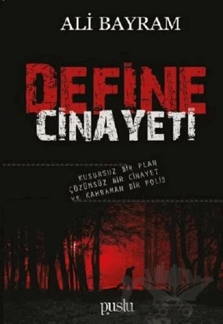 Define Cinayeti – Ali Bayram – Puslu Yayıncılık kitap kapağı