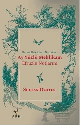 Ay Yüzlü Mehlikam Efruzlu Notlarım – Sultan Özateş – Ark Kitapları kitap kapağı