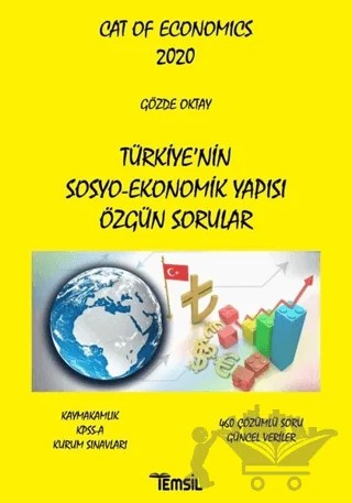 Türkiye'nin Sosyo-Ekonomik Yapısı Özgün Sorular – Gözde Oktay – Temsil Kitap kitap kapağı