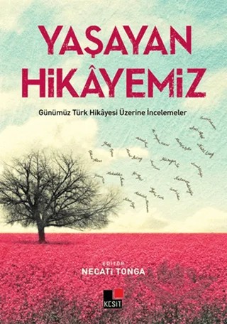 Yaşayan Hikayemiz – Necati Tonga – Kesit Yayınları kitap kapağı