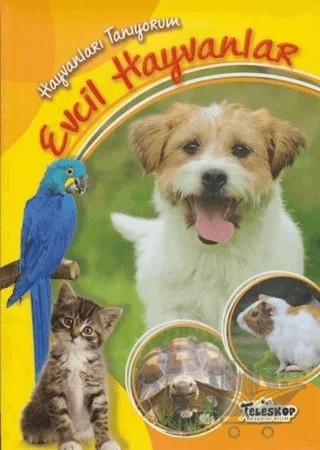 Hayvanları Tanıyorum - Evcil Hayvanlar – Kolektif – Teleskop Popüler Bilim kitap kapağı