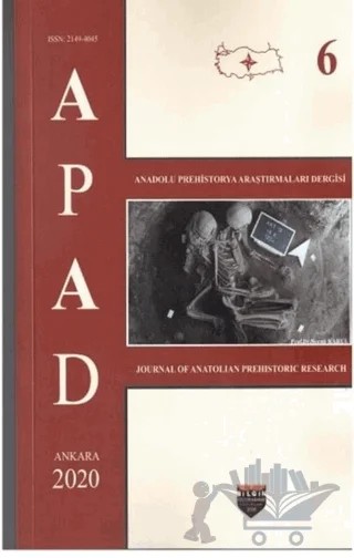 APAD 2020 Cilt 6 – Kolektif – Bilgin Kültür Sanat Yayınları kitap kapağı