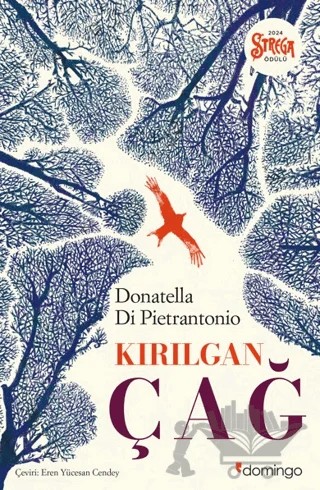 Kırılgan Çağ – Donatella Di Pietrantonio – Domingo Yayınevi kitap kapağı