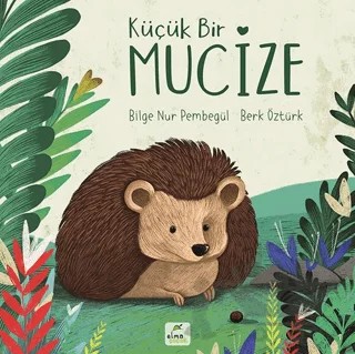 Küçük Bir Mucize – Bilge Nur Pembegül – Elma Çocuk kitap kapağı